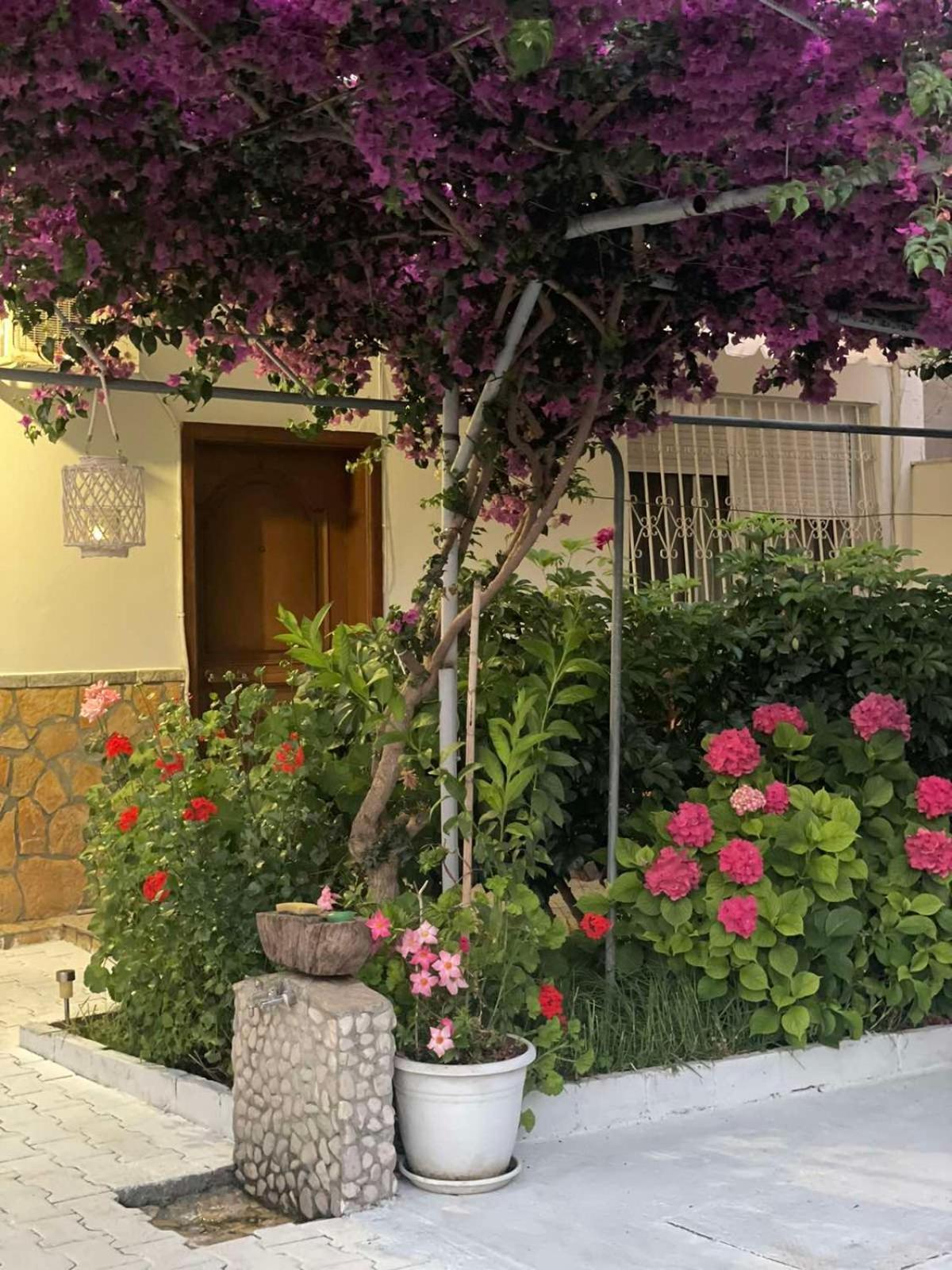 Apartments Athina Orikum Eksteriør bilde